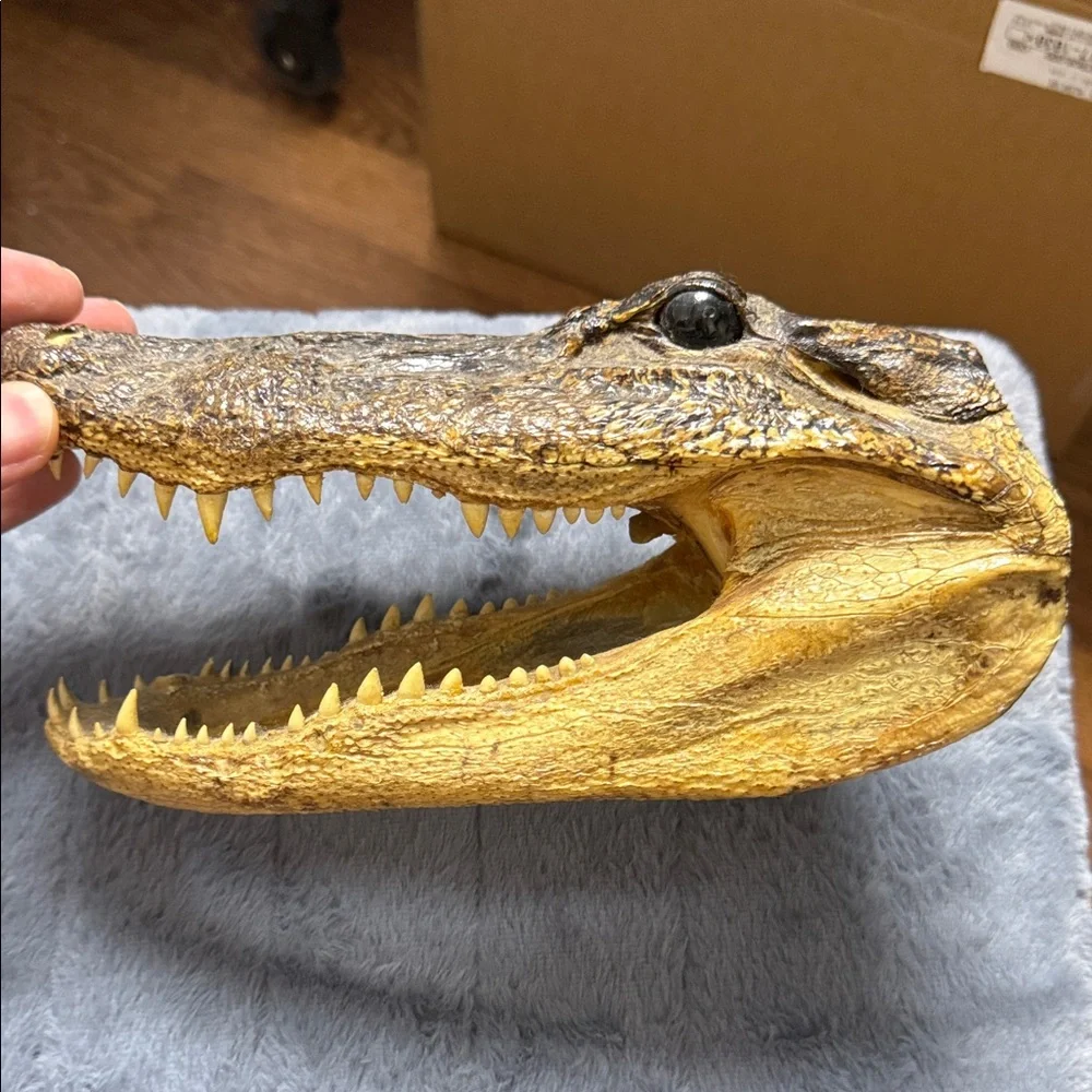 Realistic Reptile Alligator Head Decor